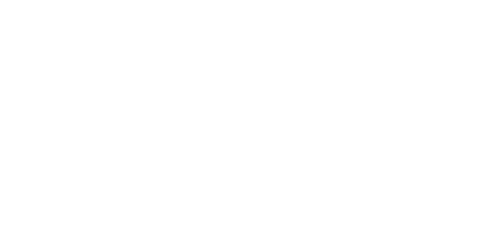 system